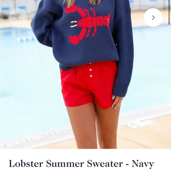 Bailey Rose Navy Lobster Sweater S - Picture 2 of 5
